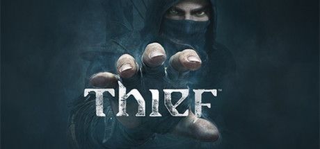 Thief эксклюзивный полный экран что это