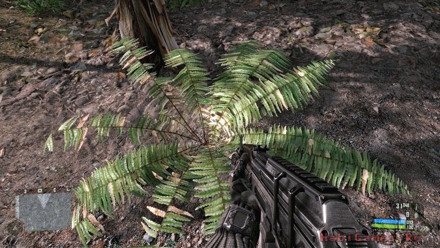 Сколько стоит диск crysis