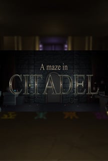A maze in Citadel Постер
