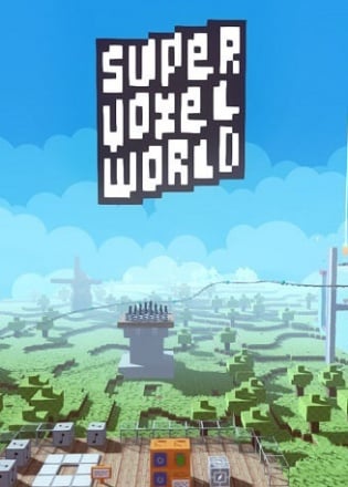 Super Voxel World Постер