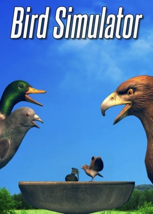 Bird Simulator Постер