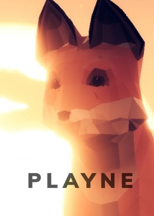 PLAYNE: The Meditation Game Постер