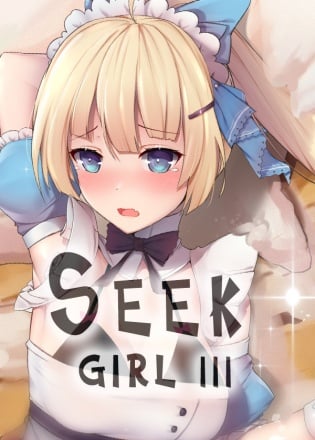 Seek Girl 3 Постер