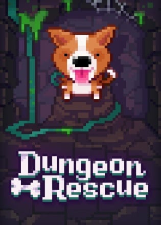 Fidel Dungeon Rescue Постер