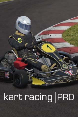 Kart Racing Pro Постер