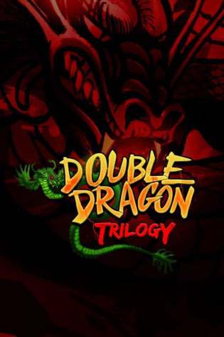 Double Dragon Trilogy Постер