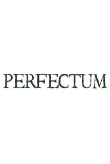 Perfectum Постер