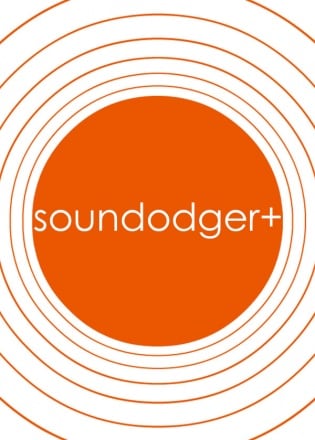 Soundodger+ Постер