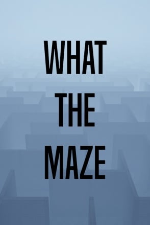 What The Maze Постер