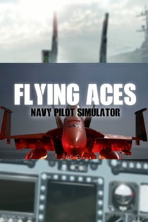 Flying Aces - Navy Pilot Simulator Постер