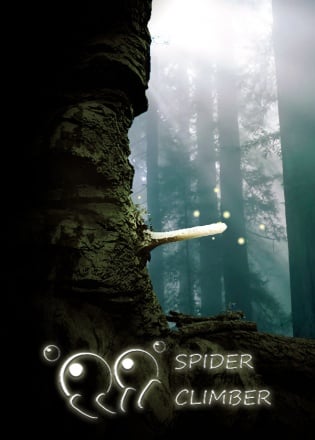 SpiderClimber Постер