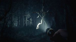 Скриншоты игры Blair Witch