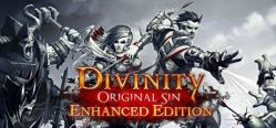 Скачать игру Divinity: Original Sin бесплатно на ПК