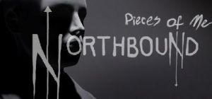 Скачать игру Pieces of Me: Northbound бесплатно на ПК