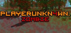 Скачать игру PLAYERUNKN4WN: Zombie бесплатно на ПК
