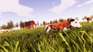 Скриншоты игры Real Farm