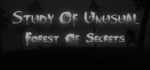 Скачать игру Study of Unusual: Forest of Secrets бесплатно на ПК