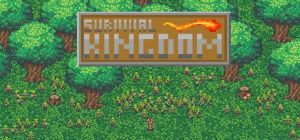 Скачать игру Survival Kingdom бесплатно на ПК