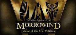 Скачать игру The Elder Scrolls III: Morrowind бесплатно на ПК