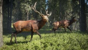 Скриншоты игры TheHunter: Call of the Wild